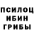 Псилоцибиновые грибы прущие грибы Barbara Fernandes