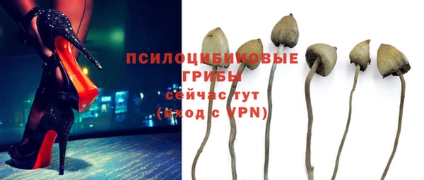 spice Арсеньев