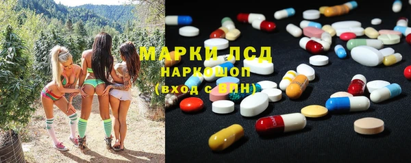 spice Арсеньев