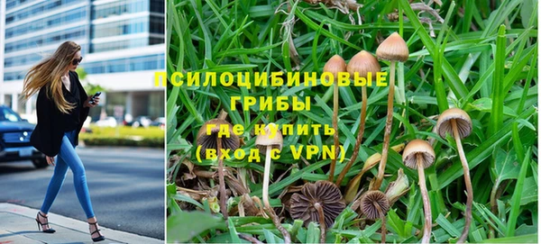 spice Арсеньев