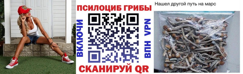 купить наркоту Дыгулыбгей Псилоцибиновые грибы GOLDEN TEACHER